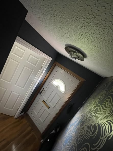 Hallway with patterned wallpaper, dark painted walls and white doors